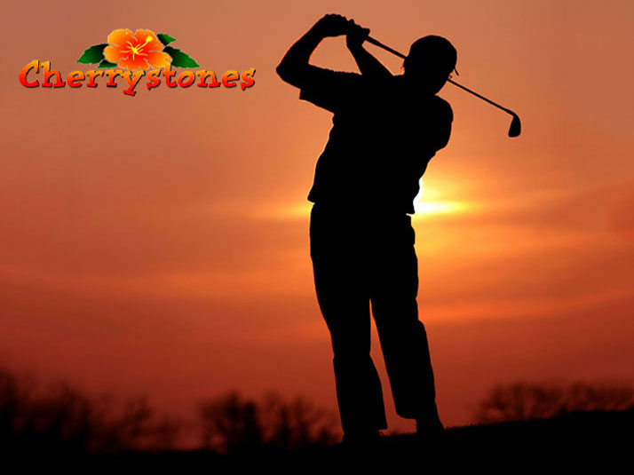 Cherrystones 29th Annual Charity Golf Tournament